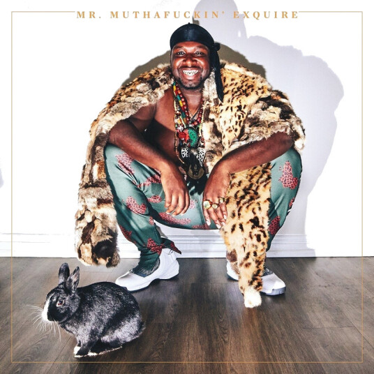 Mr. Muthafuckin' Exquire