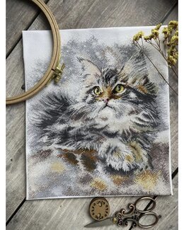 Broderipakke Bilde Grå Katt