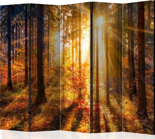Romdeler - Autumn Awakening II 225x172 - Artgeist sp. z o. o.
