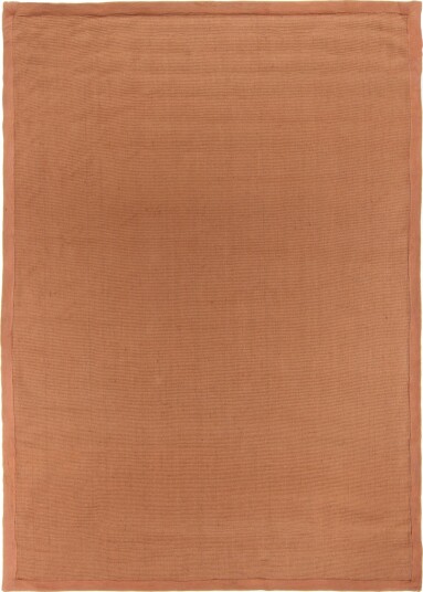 Sisaltepper Agave brun oransje Størrelse: 160 x 230 cm