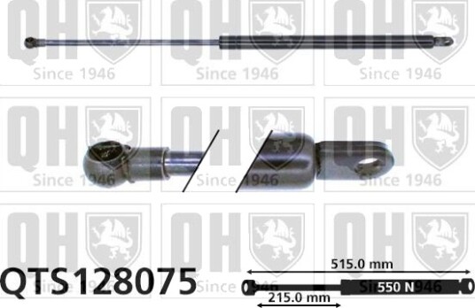 QUINTON HAZELL QTS128075 Baklukedemper