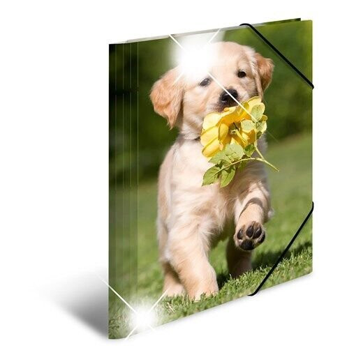 HERMA Elasticated folder glossy animals A4 PP dogs