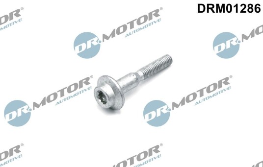Bolt, innsprøytningsdyse holder Dr.Motor Automotive DRM01286