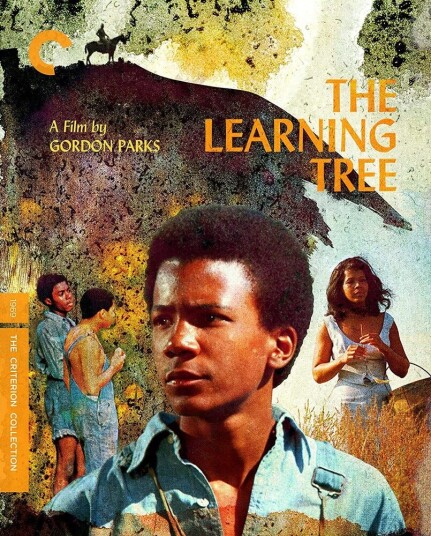 The Learning Tree Bluray The Learning Tree Bluray