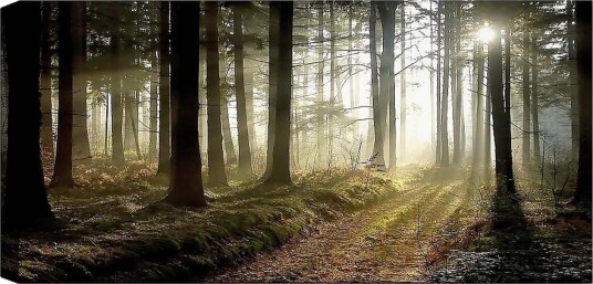 Canvasbilde YTY Landscape & Nature Flerfarget 120x50 cm Canvasbilde YTY Landscape & Nature Flerfarget 120x50 cm