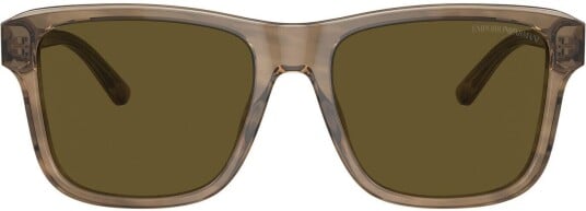 Giorgio Armani EMPORIO ARMANI EA4208 Brun
