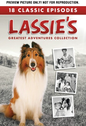 Lassie's Greatest Adventures Collection DVD