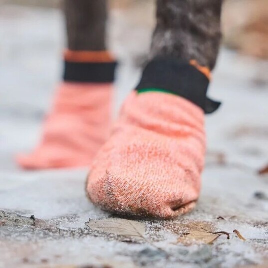 Non-Stop Dogwear Protector Light Potesokker Orange L 4-pakk