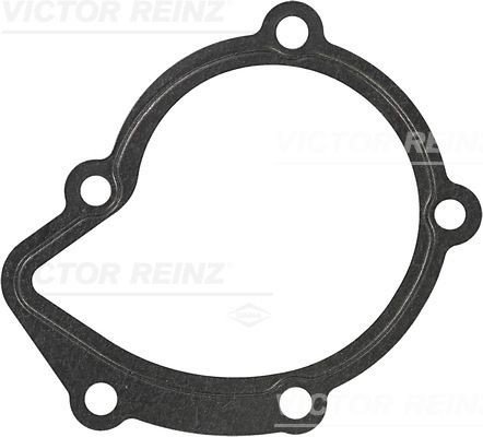 REINZ 70 25920 30 Pakning vannpumpe