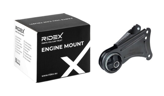 Motorfeste RIDEX 247E0221