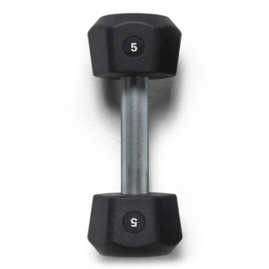 CENTR x HYROX Urethane Dumbbell Hex hantler