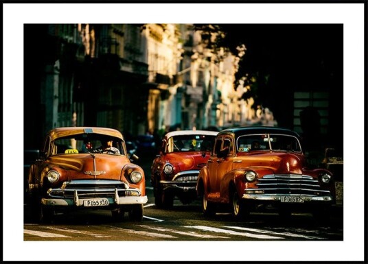 Come with me in the morning light Plakat / 50x70cm Come with me in the morning light Plakat / 50x70cm