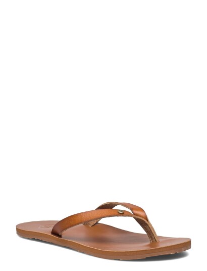 Roxy Jyll Iii Brown 41