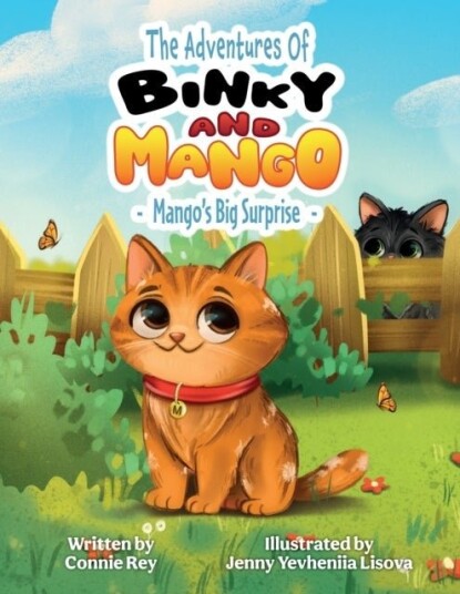 THE ADVENTURES OF BINKY AND MANGO THE ADVENTURES OF BINKY AND MANGO