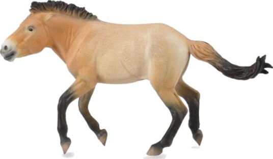 Collecta Stallion Przewalski Figur 88602 Collecta Stallion Przewalski Figur 88602