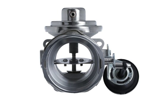 EGR Ventil VALEO 703225