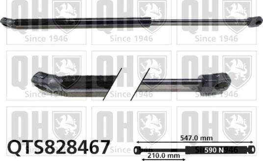 QUINTON HAZELL QTS828467 Baklukedemper