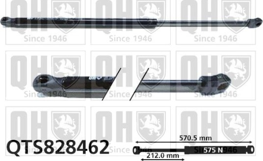 QUINTON HAZELL QTS828462 Baklukedemper