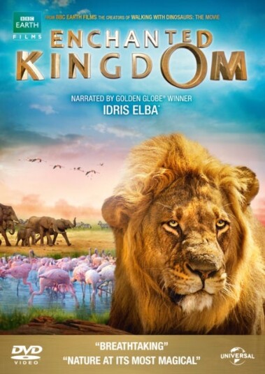 Enchanted Kingdom DVD Enchanted Kingdom DVD
