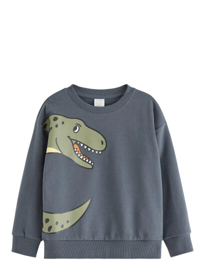 Lindex Sweatshirt Dino Placement Grey 98 Lindex Sweatshirt Dino Placement Grey 98