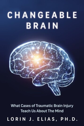 Broken Brains Broken Brains