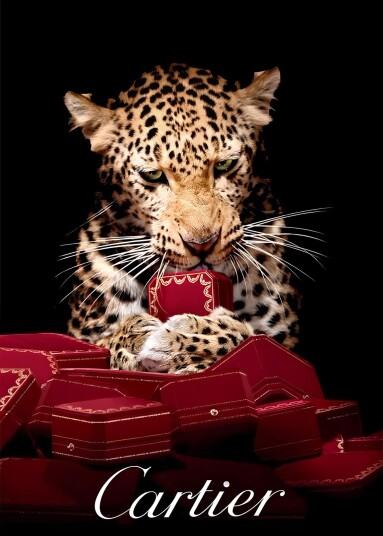 Plakat Leopard Cartier