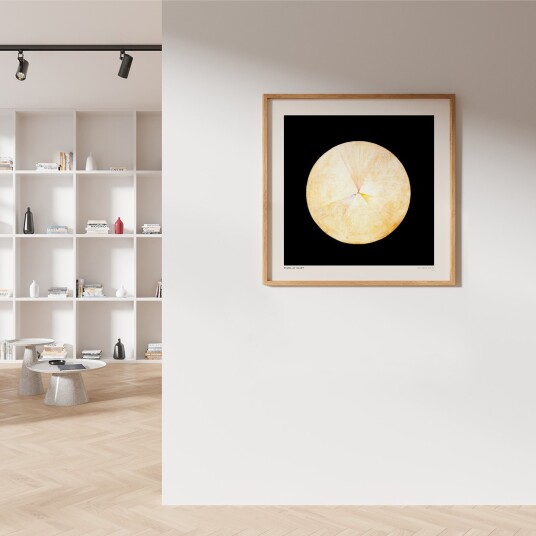 The Swan No. 14 Kvadrat av Plakatwerket