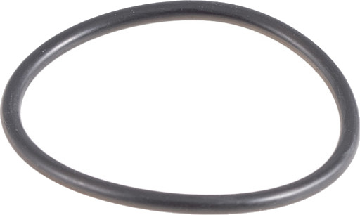 IFÖ PREMONT O-RING T/INB.CIST