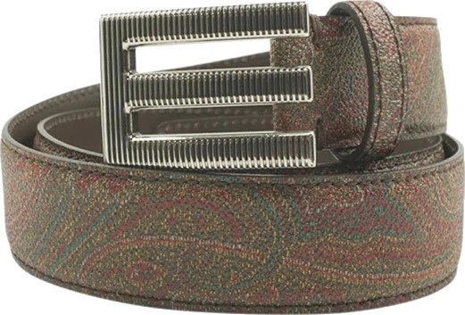 Etro, Herre, Accessories, Brun, 90 CM,