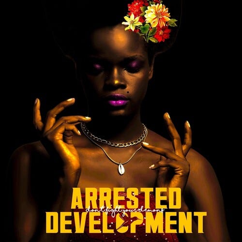 Arrested Development Don't Fight Your Demons LP/Vinyl