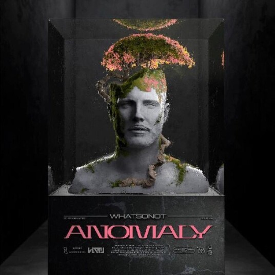 Anomaly Vinyl