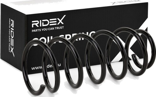 RIDEX 188C0097 Fjær