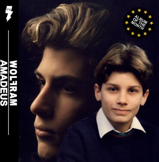 Amadeus Vinyl