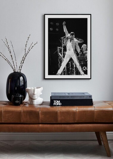 FREDDIE MERCURY II PLAKAT