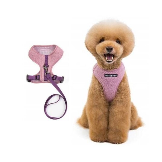 Lilla Teddy Hunde- Og Kattesele