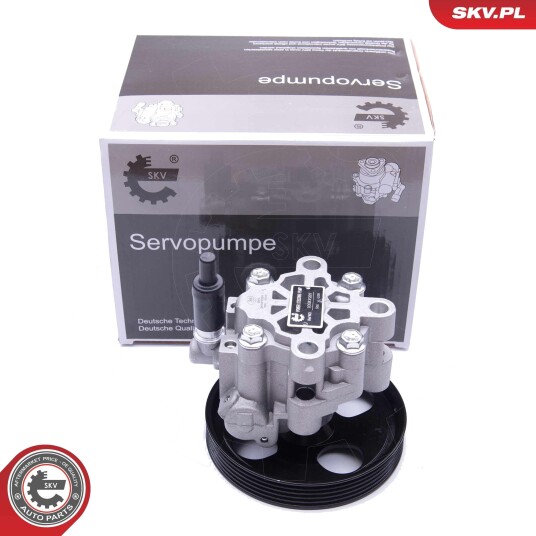 Servopumpe ESEN SKV 10SKV287