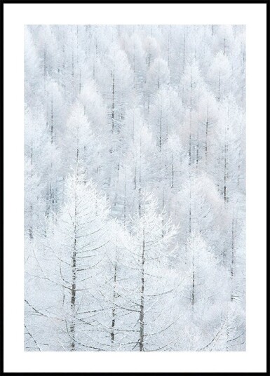 清浄(Seijyou Plakat Plakat / 40x50cm 清浄(Seijyou Plakat Plakat / 40x50cm