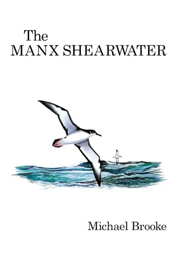The Manx Shearwater The Manx Shearwater
