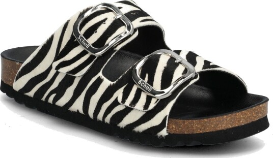 Scholl Noelle Animal Ad Multi/patterned 37 Scholl Noelle Animal Ad Multi/patterned 37