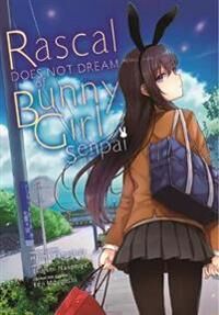 Kamoshida Hajime Rascal Does Not Dream of Bunny Girl Senpai
