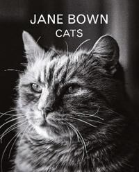Jane Bown: Cats Av Jane Bown