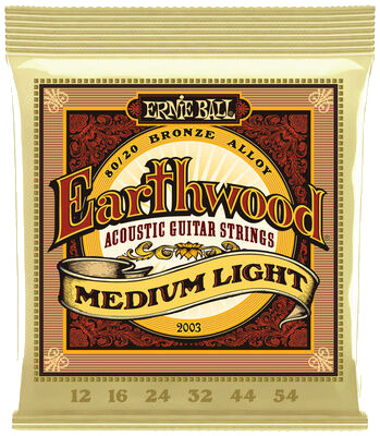 Ernie Ball 2003 Earthwood Bronze