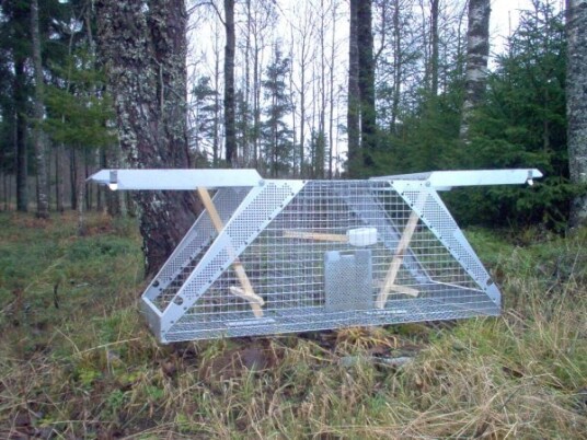 Lotin Kråkefelle Dobbel Lotin Kråkefelle Dobbel
