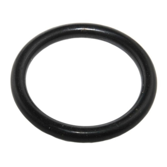 Isiflo O ring 50mm