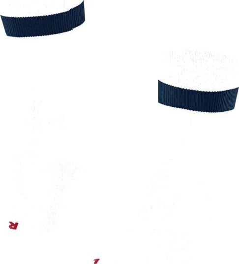 Falke Ru4 Endurance Men Running Socks White 42-43