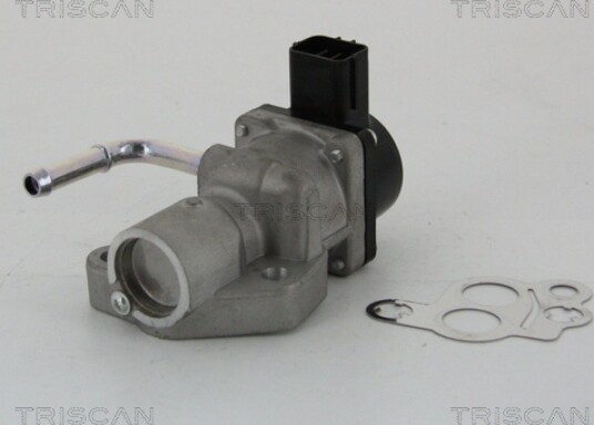 EGR Ventil TRISCAN 8813 10014