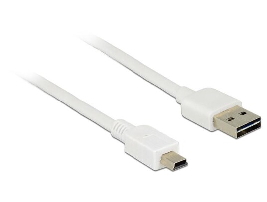 Delock EASY USB 2.0 Type A Til Mini B 1m Hvit