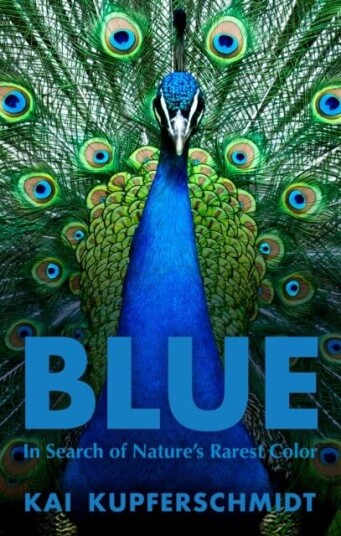 Blue Av Kai Kupferschmidt Blue Av Kai Kupferschmidt