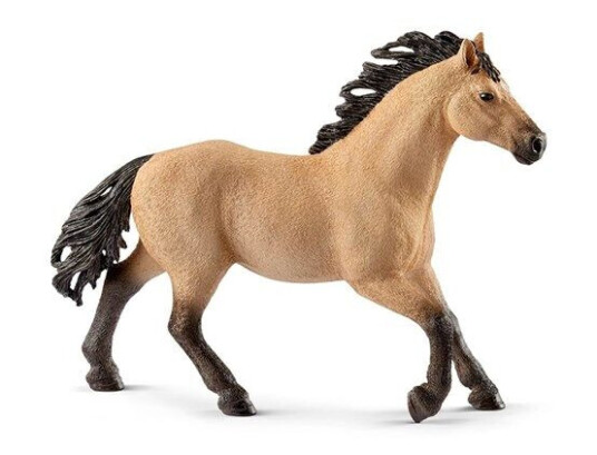Schleich Horse Club