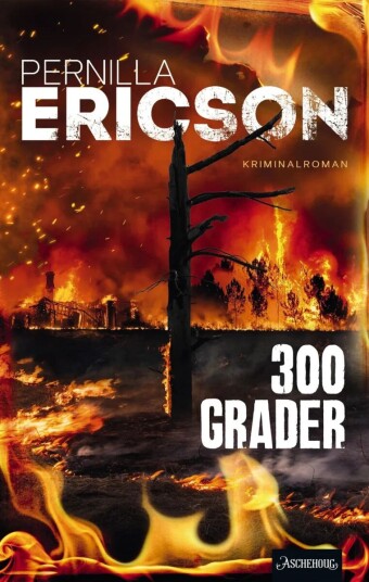 300 Grader Av Pernilla Ericson